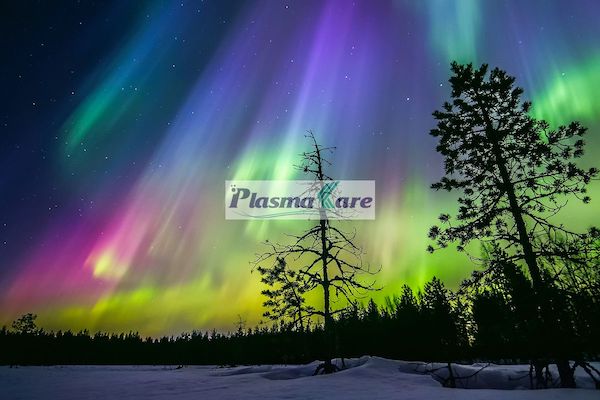 ung-dung-cong-nghe-Plasma-tai-Viet_nam-02