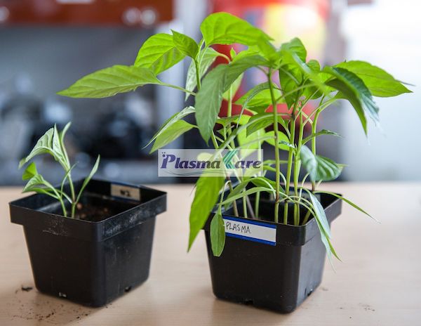 ung-dung-cong-nghe-Plasma-tai-Viet_nam-03