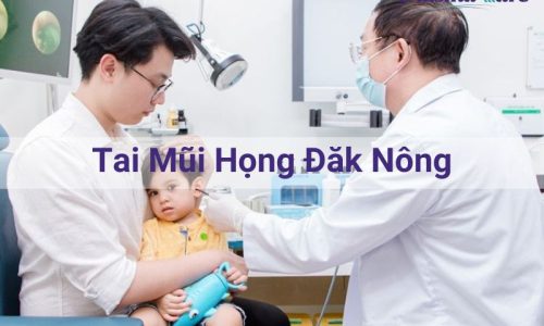 tai-mui-hong-dak-nong-754