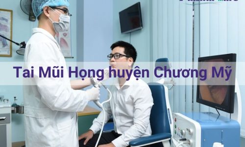 tai-mui-hong-huyen-chuong-my-768