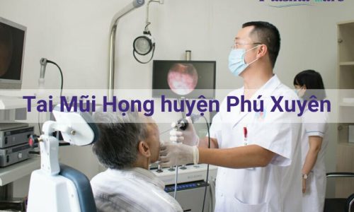 tai-mui-hong-huyen-phu-xuyen-157