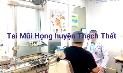 tai-mui-hong-huyen-thach-that-258