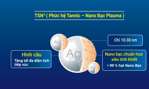 TSN-Nano-bac-plasma-plasmakare