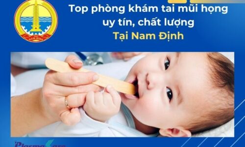 tai-mui-hong-nam-dinh-1