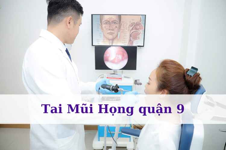 tai-mui-hong-quan-9-1