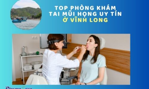 tai-mui-hong-vinh-long-1