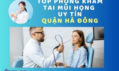 tai-mui-hong-quan-dong-da-1