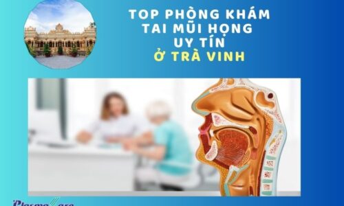 tai-mui-hong-tra-vinh-1