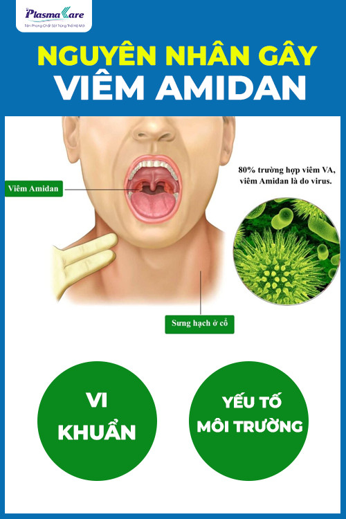 viem-amidan-co-lay-khong-cach-phong-benh-hieu-qua-2