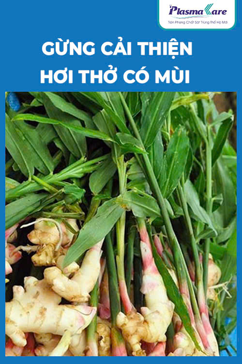 an-gi-de-het-hoi-mieng-11-thuc-pham-giup-ban-co-hoi-tho-thom-tho-4