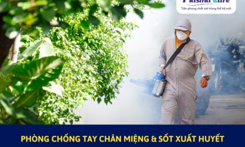 cac-bien-phap-phong-chong-tay-chan-mieng-va-sot-xuat-huyet-theo-byt-1