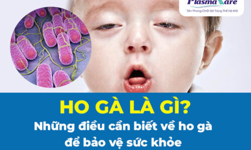 ho-ga-la-gi-1