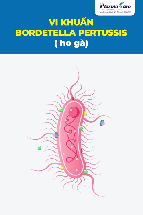 nguyen-nhan-gay-benh-ho-ga-hieu-de-phong-tranh-hieu-qua-2