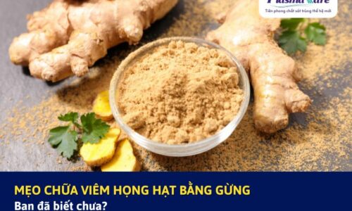 Mẹo chữa viêm họng hạt bằng gừng an toàn, hiệu quả