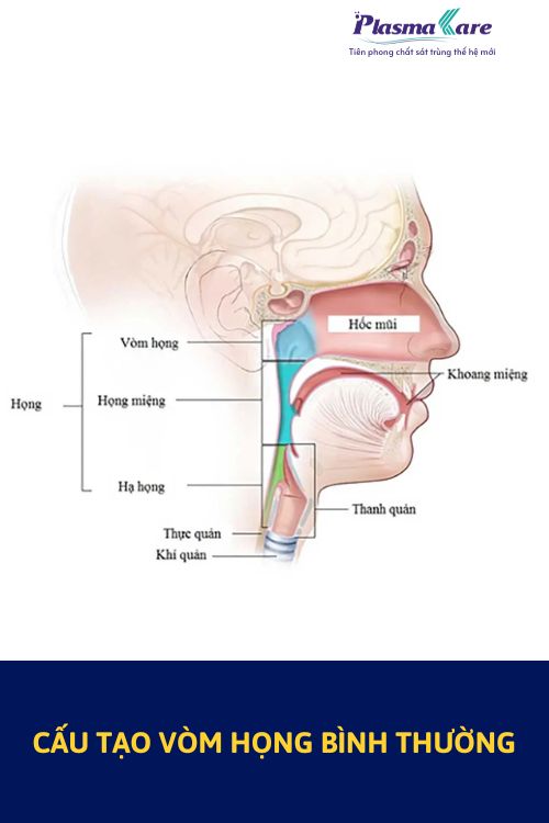 hinh-anh-viem-hong-2