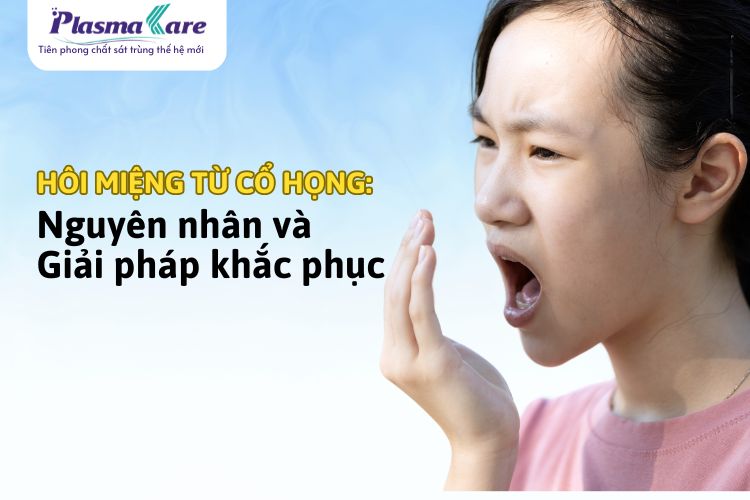 hoi-mieng-tu-co-hong-1