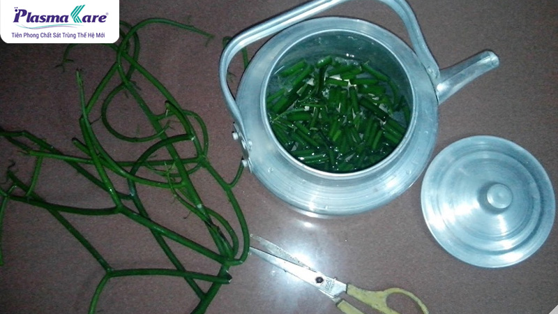 cach-chua-xoang-bang-cay-giao-1