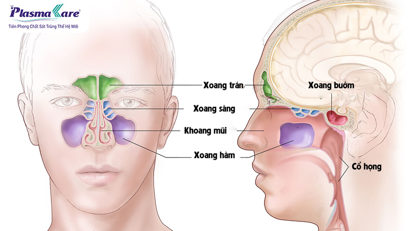 phuong-phap-proetz-1