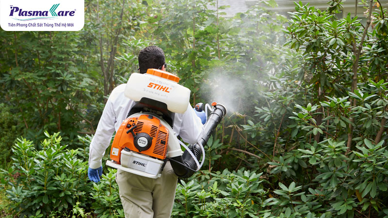 Sử dụng thuốc phun chứa hoạt chất chlorpyrifos hoặc deltamethrin