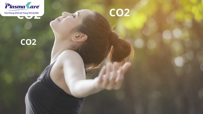 Bị muỗi đốt nhiều có sao không? Nguyên nhân bị muỗi đốt nhiều