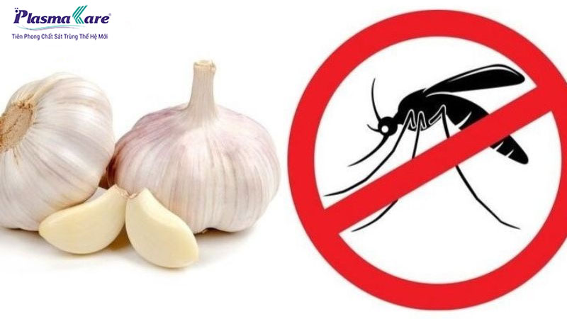 Cách hết ngứa khi bị muỗi đốt hiệu quả nhanh nhất