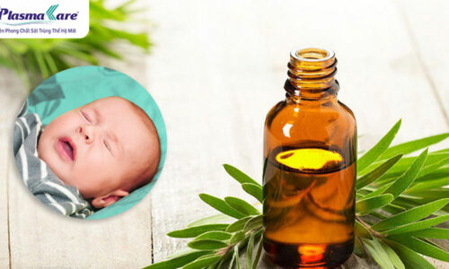 Cách dùng và công dụng dầu tràm trị nghẹt mũi cho trẻ sơ sinh Cách dùng và công dụng dầu tràm trị nghẹt mũi cho trẻ sơ sinh