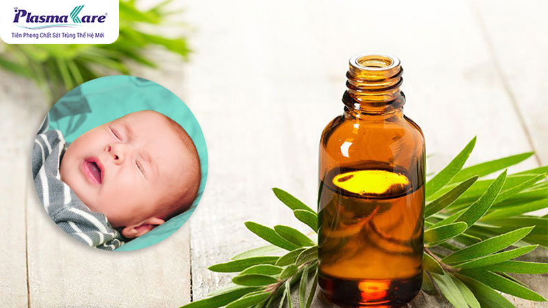 Cách dùng và công dụng dầu tràm trị nghẹt mũi cho trẻ sơ sinh
