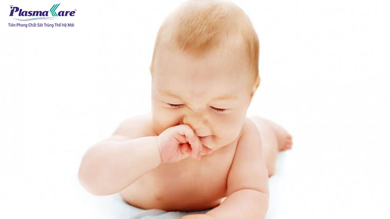 Cách dùng và công dụng dầu tràm trị nghẹt mũi cho trẻ sơ sinh