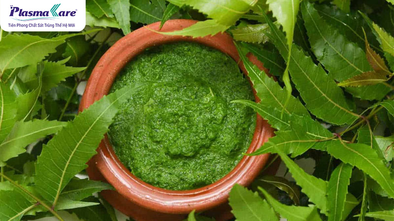 Mẹo dân gian chữa bệnh chân tay miệng tại nhà