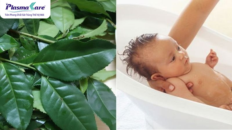 Mẹo dân gian chữa bệnh chân tay miệng tại nhà