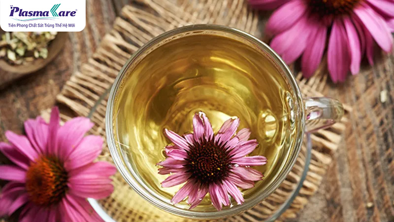 Mẹo dân gian chữa bệnh chân tay miệng tại nhà