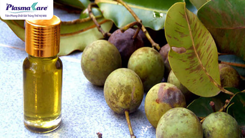 Hướng dẫn cách xử lý khi bị bỏng bô xe máy an toàn và hiệu quả