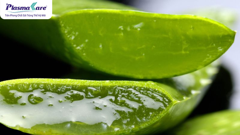 Mẹo chữa bỏng bô xe máy bằng kem đánh răng, mỡ trăn hoặc nha đam