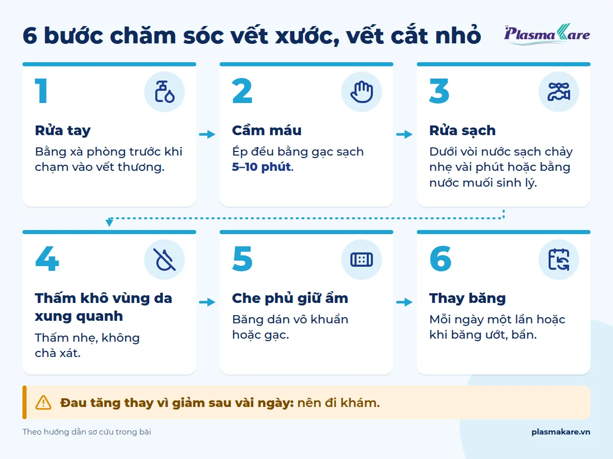 Infographic 6 bước chăm sóc vết xước, vết cắt nhỏ: rửa tay, cầm máu, rửa sạch, thấm khô, che phủ giữ ẩm, thay băng