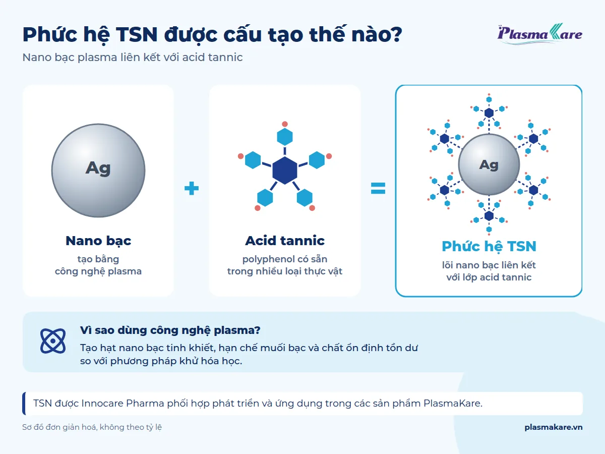 Sơ đồ cấu trúc phức hệ TSN: hạt nano bạc liên kết acid tannic