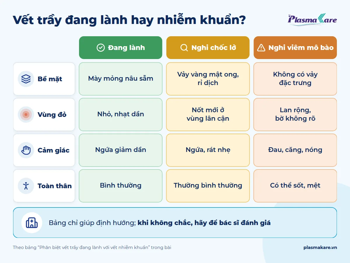 Infographic phân biệt vết trầy đang lành, nghi chốc lở và nghi viêm mô bào theo bề mặt, vùng đỏ, cảm giác, toàn thân