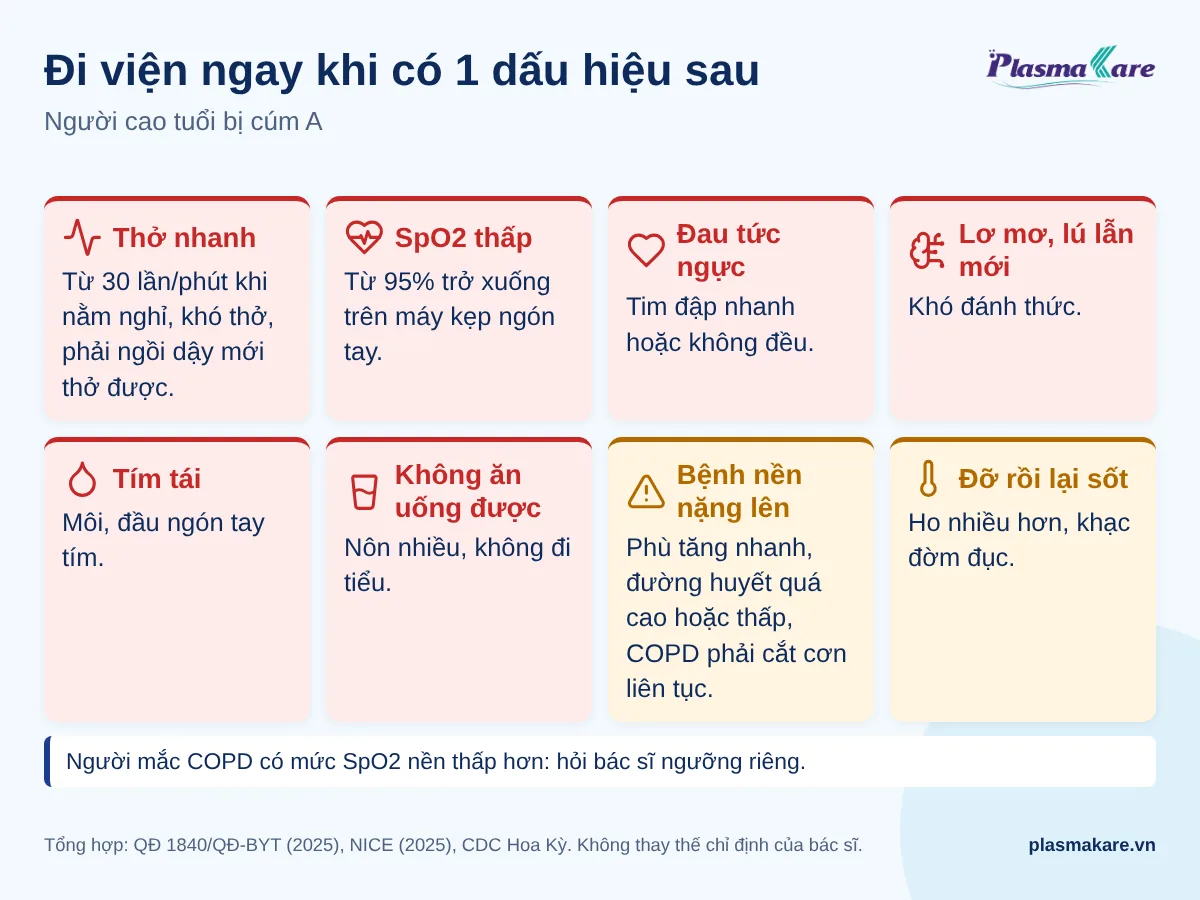 Tám dấu hiệu cần đưa người cao tuổi bị cúm A đi viện ngay