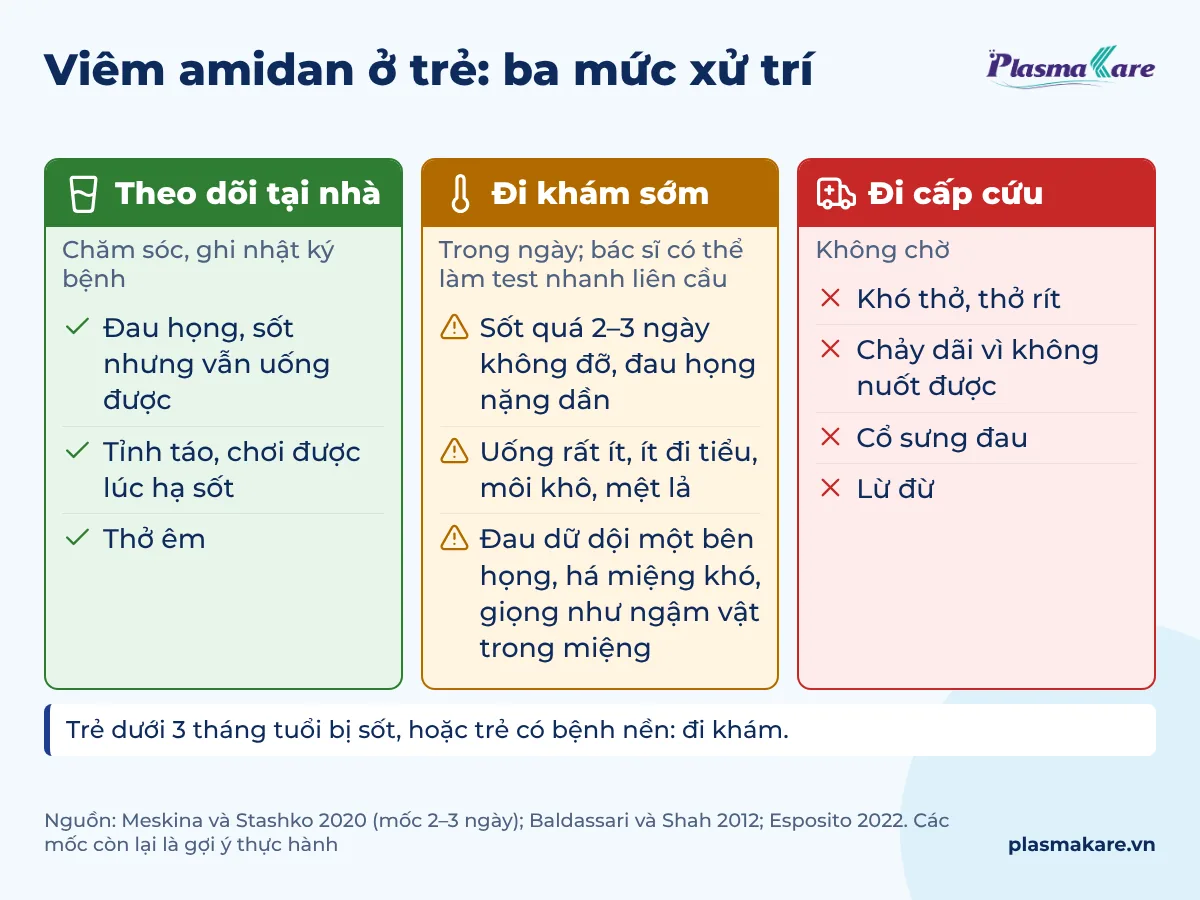 Ba cột mức xử trí viêm amidan ở trẻ: theo dõi tại nhà, đi khám sớm, đi cấp cứu, kèm dấu hiệu tương ứng