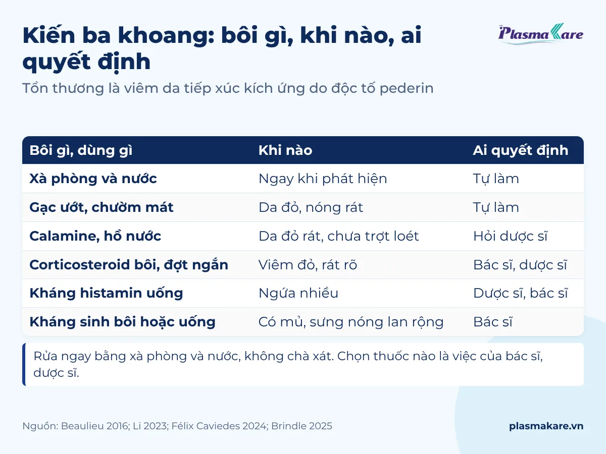 Bảng ba cột: bôi gì, khi nào, ai quyết định khi bị kiến ba khoang đốt