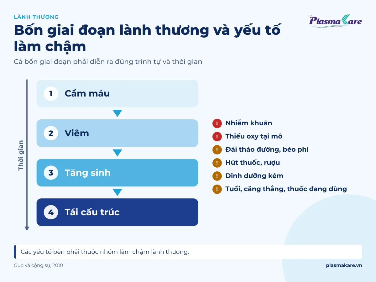Sơ đồ bốn giai đoạn lành thương và các yếu tố làm chậm lành