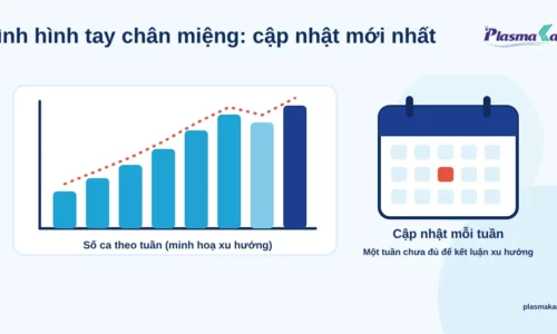 Minh hoạ phẳng biểu đồ cột số ca theo tuần và tờ lịch với dòng chữ cập nhật mỗi tuần