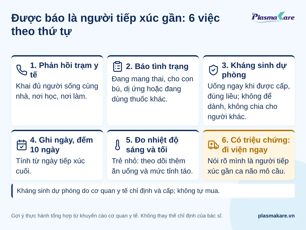 Sáu việc làm theo thứ tự khi được báo tiếp xúc gần não mô cầu