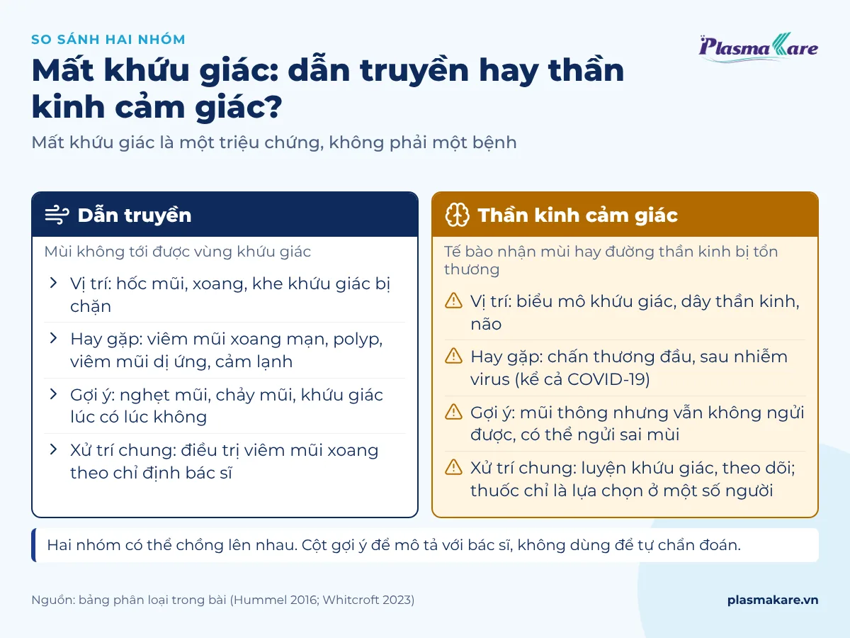 So sánh mất khứu giác dẫn truyền và mất khứu giác thần kinh cảm giác theo vị trí, nguyên nhân hay gặp và xử trí