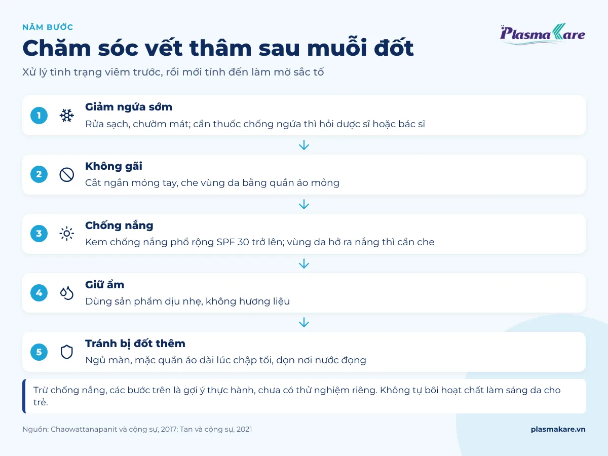 Năm bước chăm sóc vết thâm sau muỗi đốt: giảm ngứa sớm, không gãi, chống nắng, giữ ẩm, phòng muỗi đốt