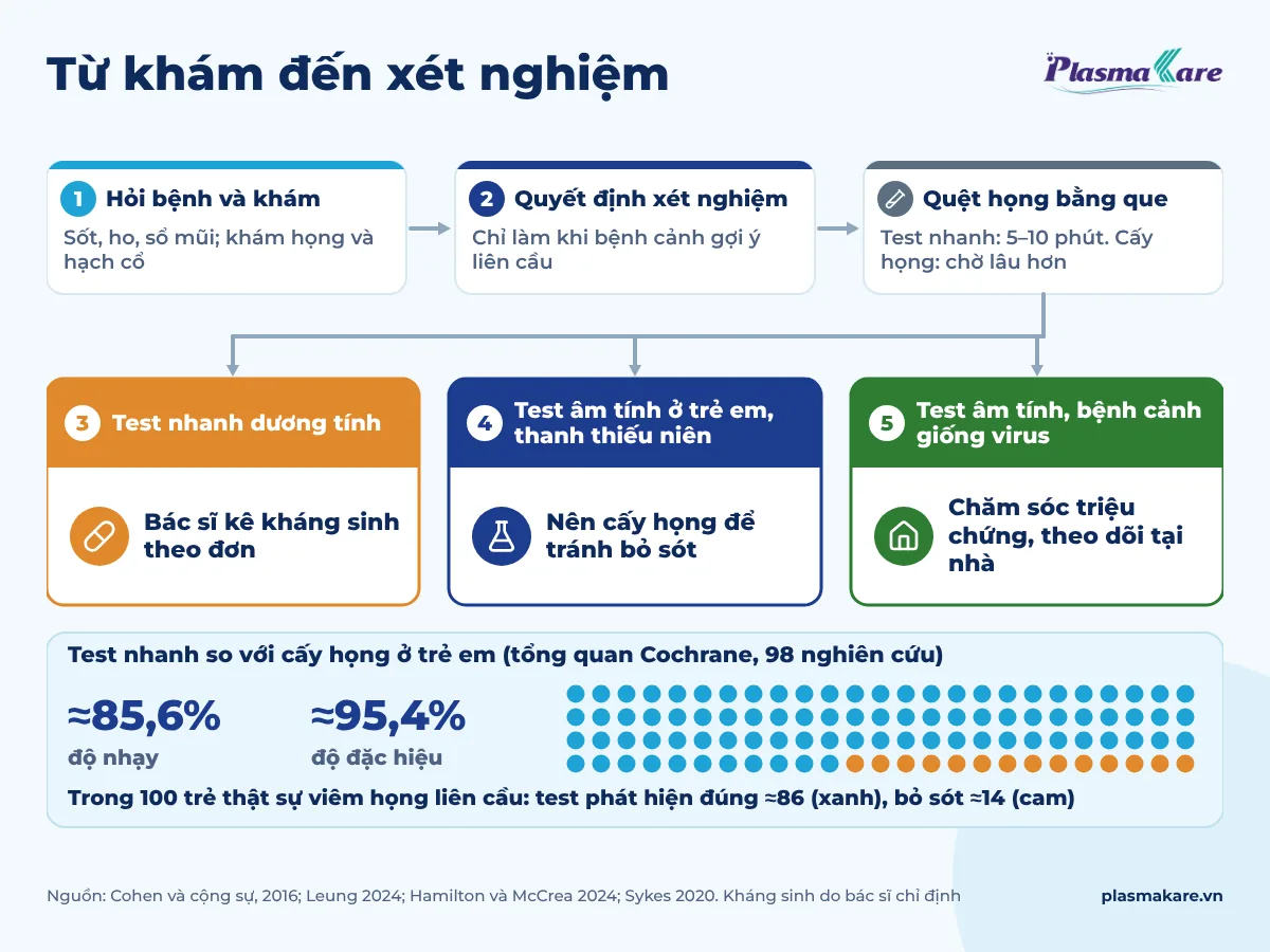 Sơ đồ quy trình khám đau họng: hỏi bệnh và khám, quyết định xét nghiệm, quệt họng; rồi ba nhánh theo kết quả: test nhanh dương tính thì kê kháng sinh theo đơn, âm tính ở trẻ em và thanh thiếu niên thì cấy họng, bệnh cảnh giống virus thì chăm sóc triệu chứng; kèm độ nhạy 85,6% và độ đặc hiệu 95,4% của test nhanh