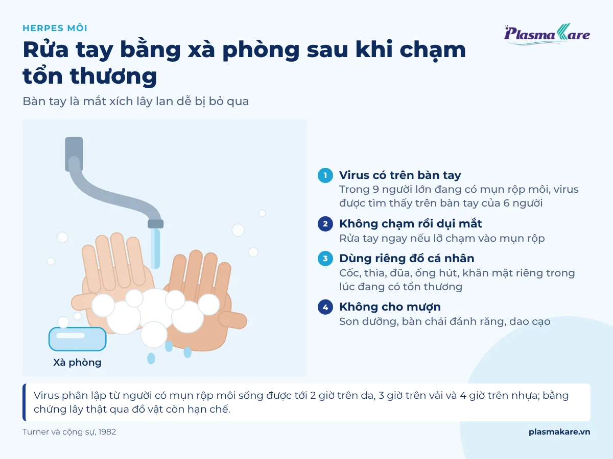 Đôi bàn tay người lớn rửa với bọt xà phòng dưới vòi nước