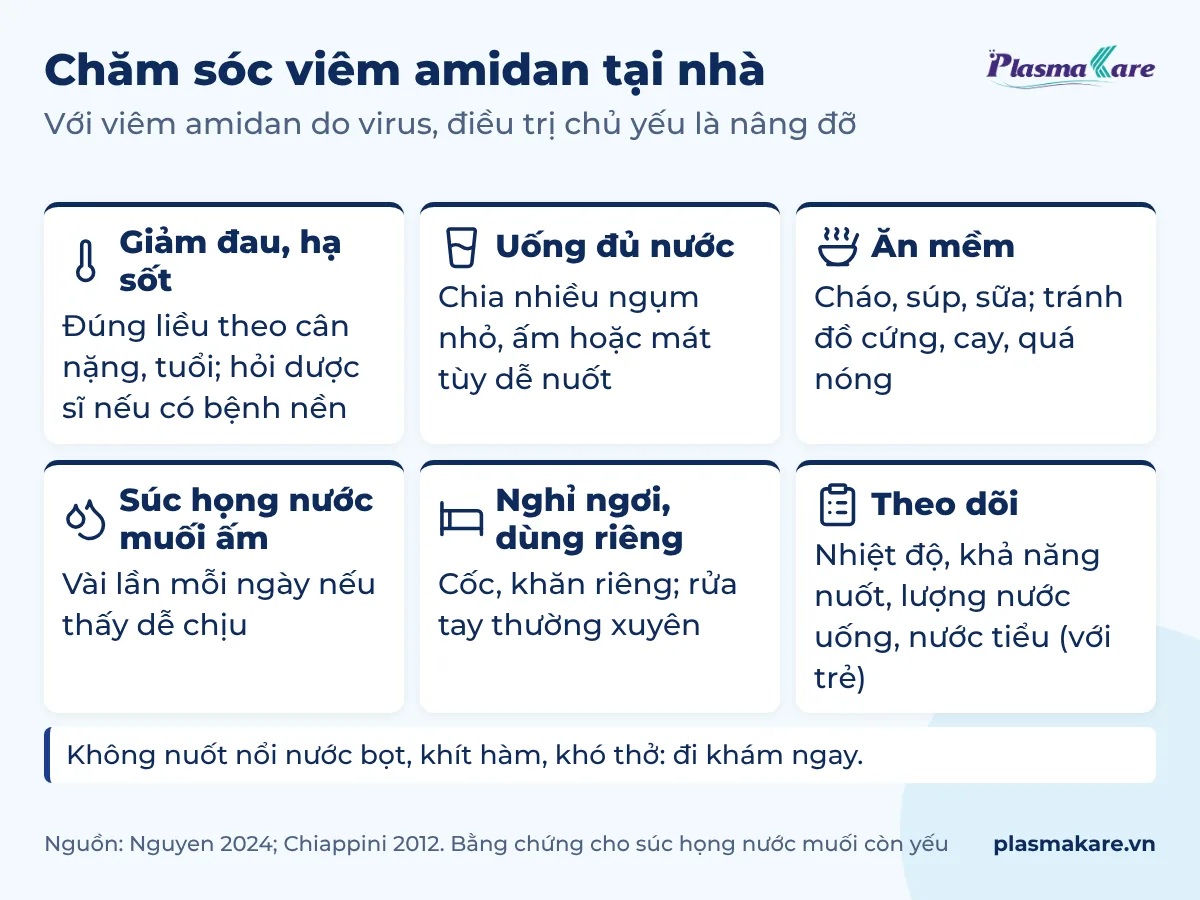 Sáu việc chăm sóc viêm amidan tại nhà: giảm đau hạ sốt đúng liều, uống nước, ăn mềm, súc họng nước muối ấm, nghỉ ngơi và dùng cốc khăn riêng, theo dõi