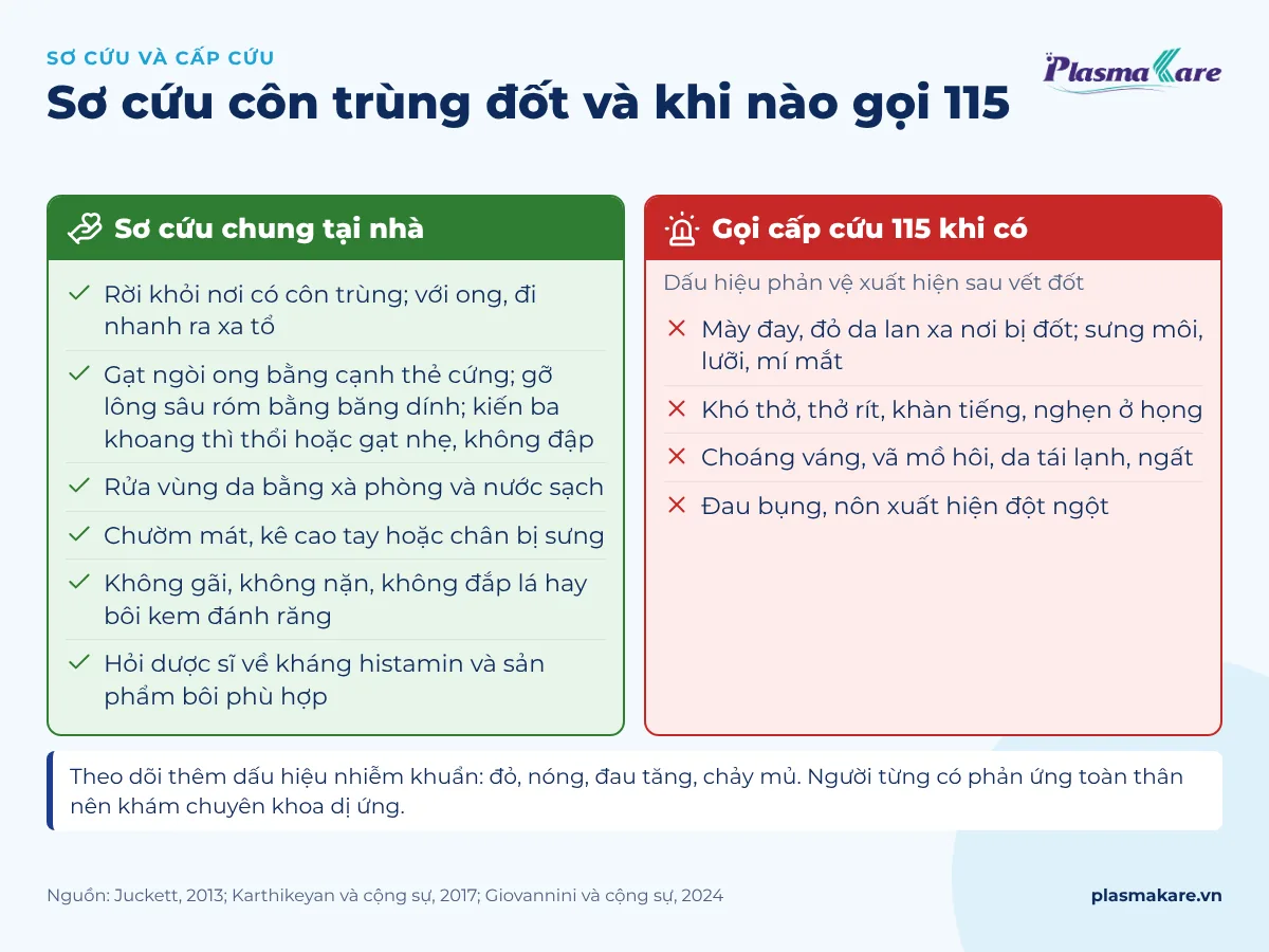 Các bước sơ cứu khi bị côn trùng đốt và dấu hiệu phản vệ cần cấp cứu