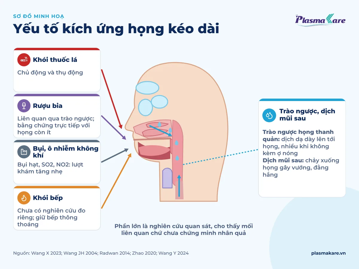 Sơ đồ họng nhìn nghiêng với năm mũi tên yếu tố kích ứng: khói thuốc lá, rượu bia, bụi và ô nhiễm không khí, khói bếp, trào ngược và dịch mũi chảy xuống họng