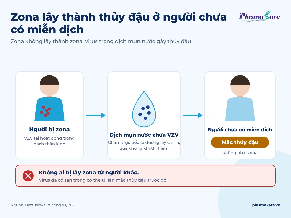 Sơ đồ dịch mụn nước zona gây thủy đậu cho người chưa có miễn dịch